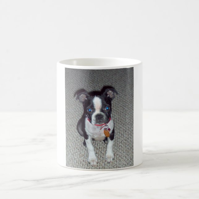 Boston-Terrier-Tasse Tasse (Mittel)