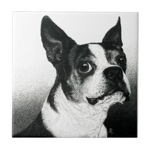 Boston Terrier Tile - "Boston Style" Fliese