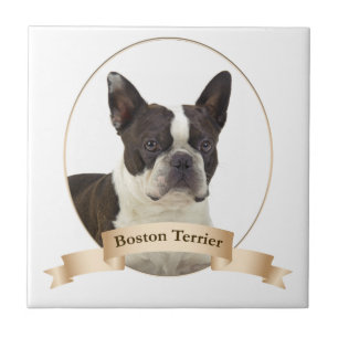 Boston Terrier Tile Fliese