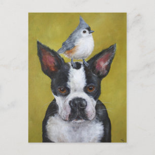 Boston Terrier & titmouse Postcard Postkarte