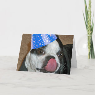 Boston Terrier Tongue Happy Birthday Card Karte