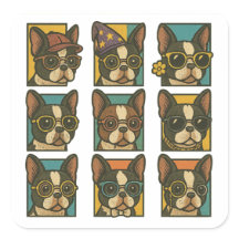 Boston Terrier Trendsetter