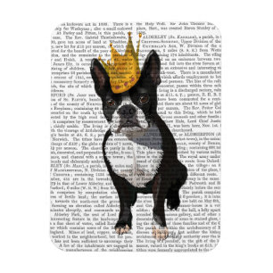 Boston Terrier und Krone Magnet
