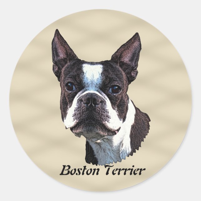 Boston Terrier v3 Runder Aufkleber (Vorderseite)