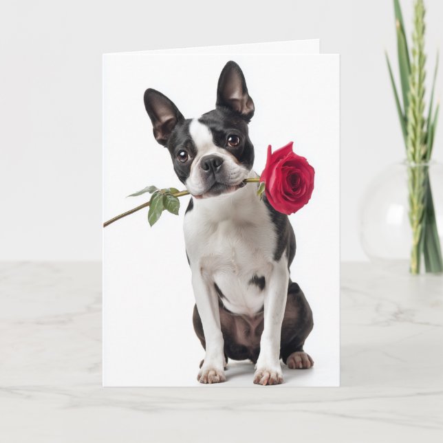 Boston Terrier Valentine – Dapper Love Karte (Vorderseite)
