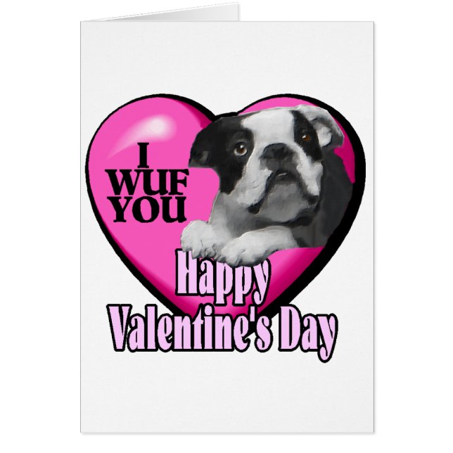 Boston Terrier Valentinstag (Vorne)