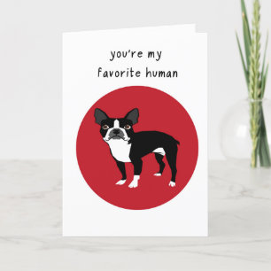 Boston Terrier Valentinstag Card Feiertagskarte
