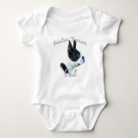Boston Terrier Vater 2