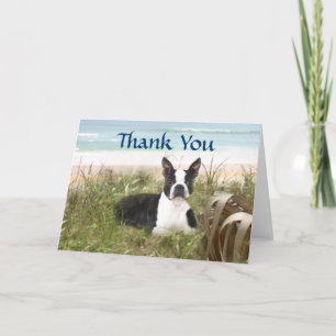Boston Terrier Vielen Dank für Ihre Card Beachgras Dankeskarte