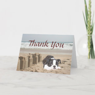 Boston Terrier Vielen Dank für Ihre Card Sandcasts Dankeskarte
