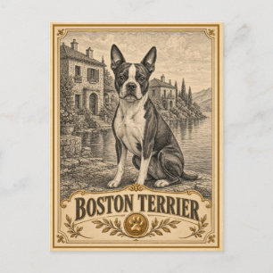 Boston Terrier, Vintage Heritage Hund Postkarte