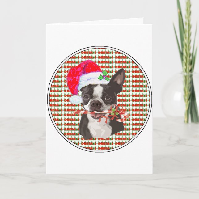 Boston Terrier Weihnachten (Vorderseite)