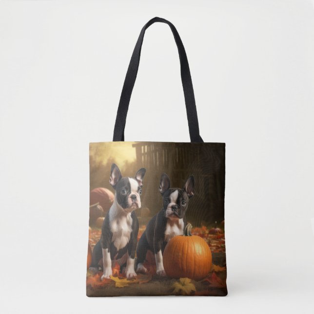 Boston Terrier Welpe Autumn Delight Pumpkin (Vorderseite)