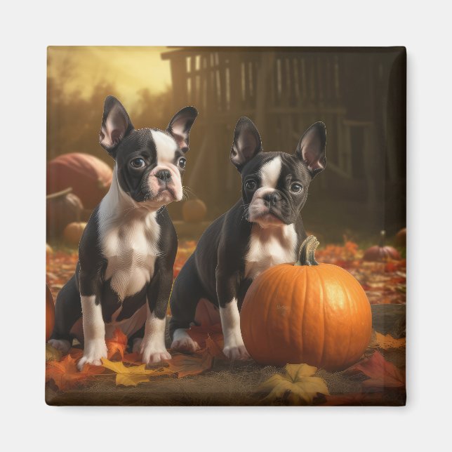 Boston Terrier Welpe Autumn Delight Pumpkin Magnet (Vorne)