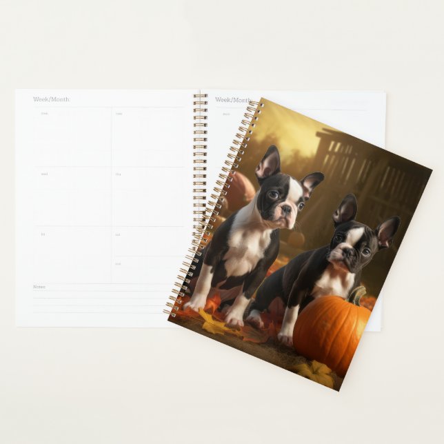 Boston Terrier Welpe Autumn Delight Pumpkin Planer (Anzeige)