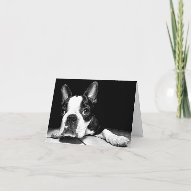 Boston Terrier Welpe Hund Blank Notecard Karte (Vorderseite)
