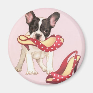 Boston Terrier Welpe mit Schuhen Magnet