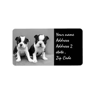 Boston Terrier Welpen - Versandmarke Adressaufkleber