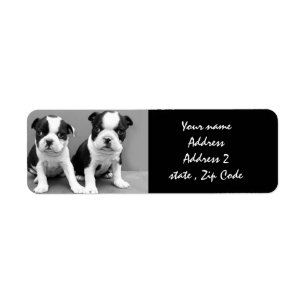 Boston Terrier Welppies Address Labels