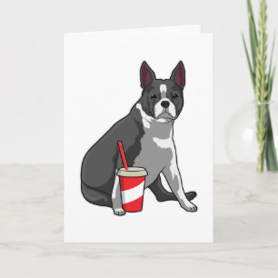 Boston Terrier with Drink Karte
