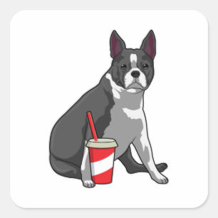 Boston Terrier with Drink Quadratischer Aufkleber