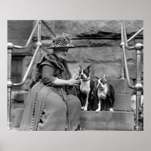 Boston-Terrier, Zwanzigerjahre Poster