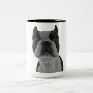 Boston-Terrier Zweifarbige Tasse