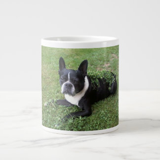 Boston-Terriergumbo-Tasse Jumbo-Tasse
