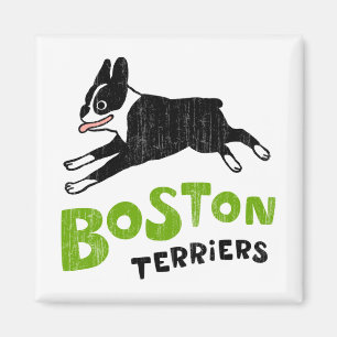 Boston Terriern Magnet