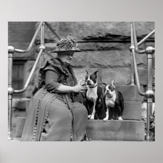 Boston Terriers, 20er Poster