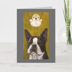 Boston und Pilotenkarte Karte