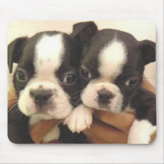 Boston-Welpen Mousepad