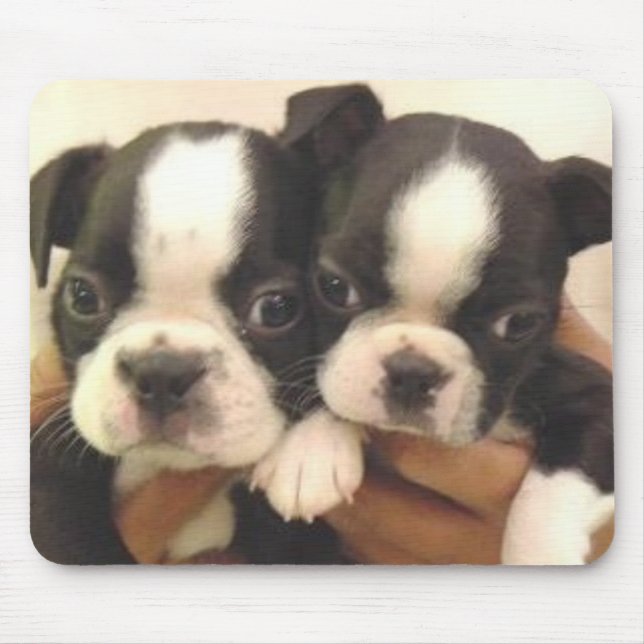 Boston-Welpen Mousepad (Vorne)