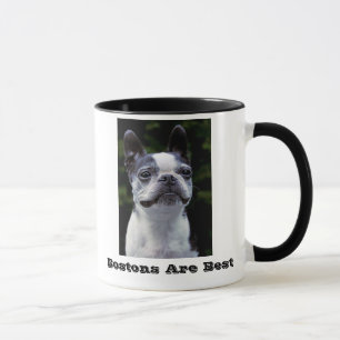 Bostons sind beste Boston-Terrier-Tasse Tasse