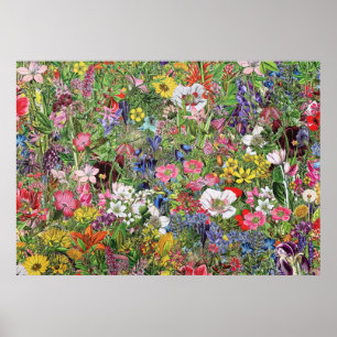 Botanical Bloom Nature Wildflower Poster