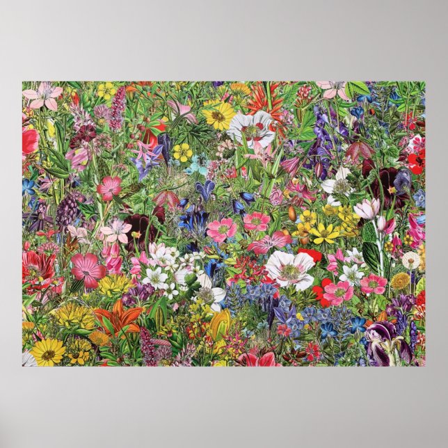 Botanical Bloom Nature Wildflower Poster (Vorne)