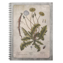 Botanical Illustration Notebook - Dandelion