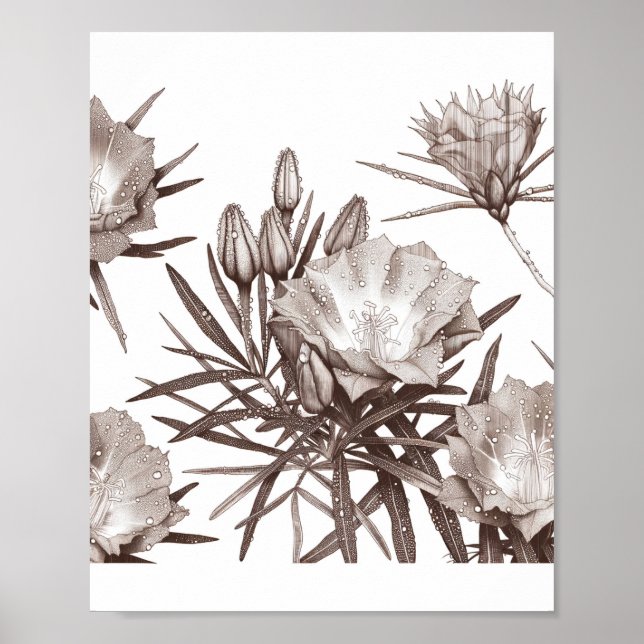 Botanical Study - Desert Wildflowers Poster (Vorne)