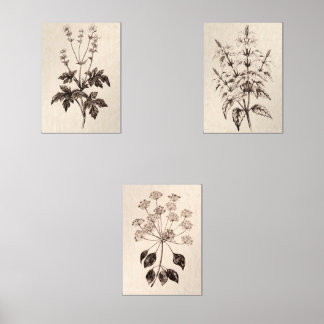 Botanical Wall Art for Living Room Bilderwand Sets
