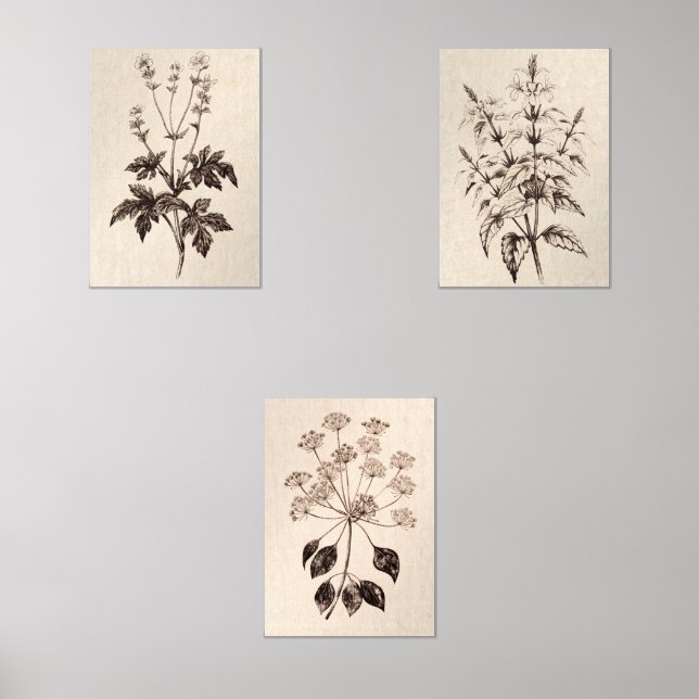 Botanical Wall Art for Living Room Bilderwand Sets (Vorderseite)
