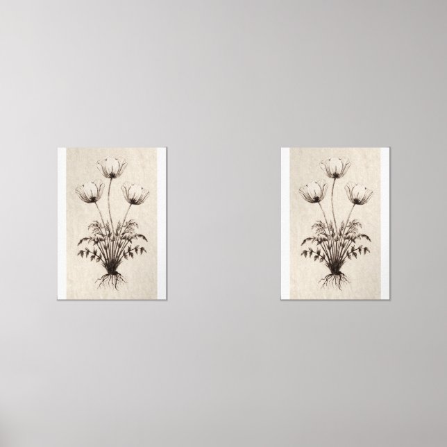 Botanical Wall Art for Living Room Bilderwand Sets (Vorderseite)