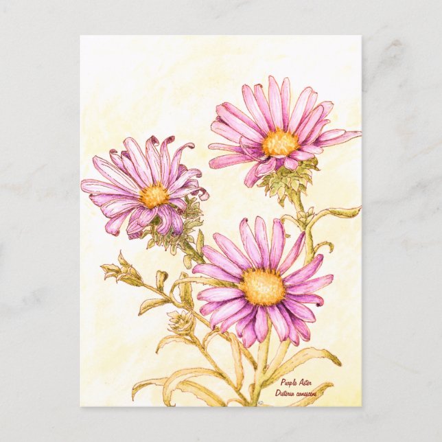 Botanical wildflower watercolor, blank inside postkarte (Vorderseite)