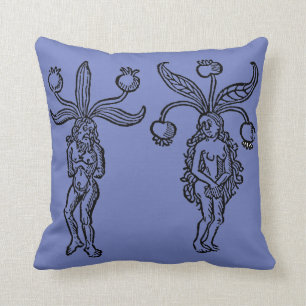Botanik: Mandrake, 1476 Kissen