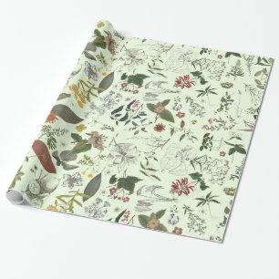 Botanik Muster 1 Geschenkpapier