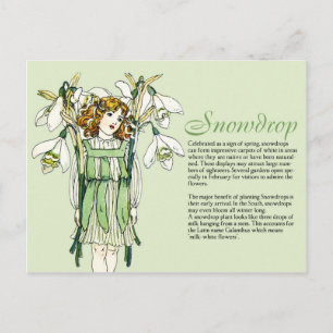 Botanik Sammler Vintage Schneeglöckchen Mädchen Pf Postkarte