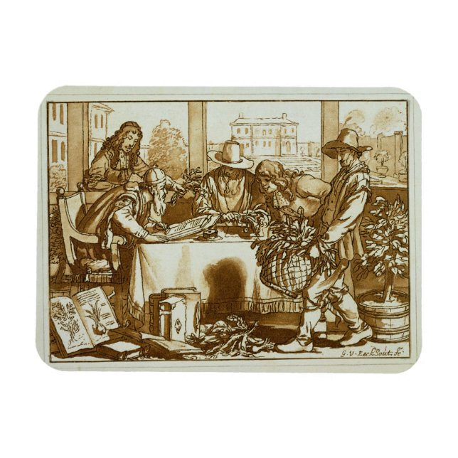 Botaniker, die Pflanze untersuchen (litho) Magnet (Horizontal)