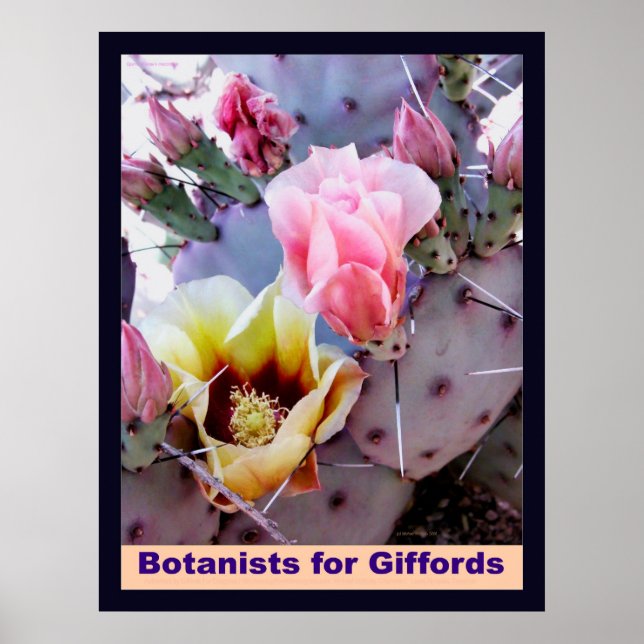 Botaniker für Giffords Poster (Vorne)
