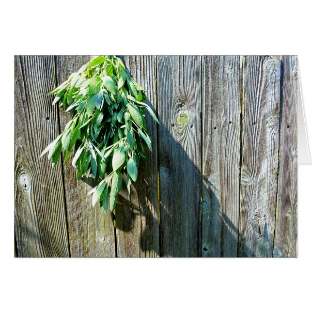 Botanisch grüne Kräuter, die vom Korn des Holzes b (Vorderseite (Horizontal))