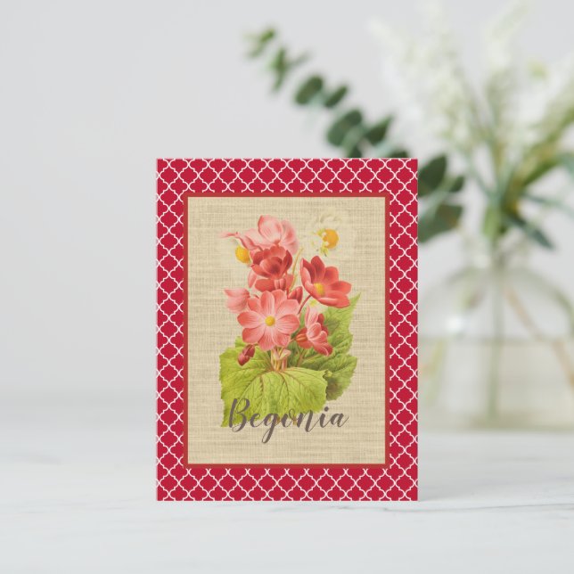 Botanisch-rotes Begonia und Quatrefoil Postkarte (Stehend Vorderseite)