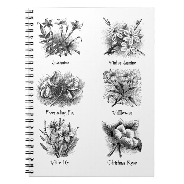 Botanische Abbildungen Notizblock (Vorderseite)